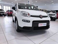 Usata Fiat Panda 70 CV (51 kW) 2024 Bianco Utilitaria
