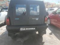 Usata Fiat Panda 4x4 Trekking 54 CV (39 kW) 2003 Blu Utilitaria