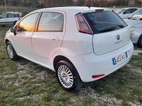 Usata Fiat Punto Easy 77 CV (56 kW) 2013 Bianco Berlina