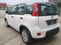 Usata Fiat Panda S 70 CV (51 kW) 2023 Bianco Utilitaria