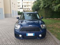 usata Mini Countryman D