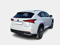 usata Lexus NX300h Hybrid Business 4WD