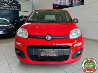 Usata Fiat Panda Pop 69 CV (50 kW) 2020 Rosso Utilitaria