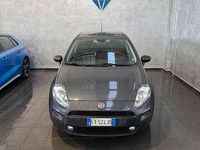 Usata Fiat Punto Lounge 75 CV (55 kW) 2015 Grigio Utilitaria
