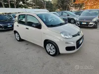 Usata Fiat Panda Easy 69 CV (50 kW) 2017 Beige Utilitaria