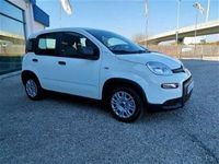 usata Fiat Panda 1.0 70cv Firefly Hybrid "KMZERO" "NEOPATENTATI"