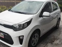 Usata Kia Picanto X-Line 67 CV (49 kW) 2021 Bianco Utilitaria