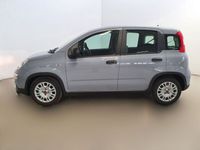 usata Fiat Panda 1.0 FireFly S&S Hybrid NEOPATENTATI