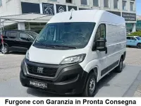 Usata Fiat Ducato 140 CV (102 kW) 2023 Bianco pastello Furgone
