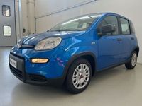 usata Fiat Panda 1.0 FireFly S&S Hybrid Km.0