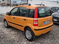 Usata Fiat Panda 60 CV (44 kW) 2009 Utilitaria