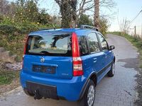 Usata Fiat Panda 4x4 Climbing 69 CV (50 kW) 2006 Utilitaria