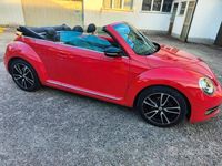 Usata VW Beetle Cabriolet Sportline 140 CV (102 kW) 2015 Rosso Cabrio