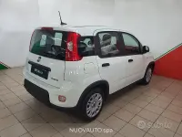 Usata Fiat Panda S 70 CV (51 kW) 2024 Bianco Utilitaria