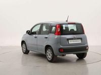 Usata Fiat Panda Easy 69 CV (50 kW) 2020 Grigio Utilitaria