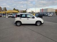 Usata Fiat Panda S 70 CV (51 kW) 2023 Bianco / pastello Utilitaria