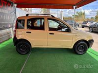 Usata Fiat Panda Active 60 CV (44 kW) 2009 Giallo Utilitaria