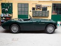 Usata Austin Healey 100 90 CV (66 kW) 1956 Verde Cabrio