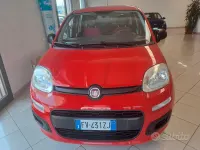 Usata Fiat Panda Easy 69 CV (50 kW) 2019 Rosso Utilitaria