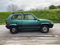 Usata Fiat Panda 4x4 1991 Verde Utilitaria