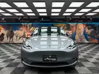 Usata Tesla Model Y Performance 338 kW (460 CV) 2023 Grigio SUV
