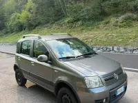 Usata Fiat Panda 4x4 75 CV (55 kW) 2011 Grigio Utilitaria