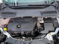 Usata Ford Kuga Business Edition 120 CV (88 kW) 2015 Bianco SUV