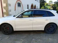 Usata Audi SQ5 313 CV (230 kW) 2015 Bianco SUV