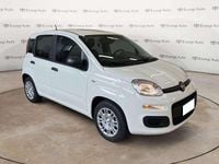 Nuova Fiat Panda S 69 CV (50 kW) 2025 Bianco Berlina
