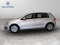 usata VW Golf Golf 1.6 TDI 110 CV -1.6 tdi 110 cv 5p. comfortline bluemoti