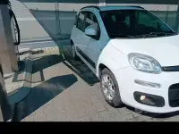 Usata Fiat Panda 69 CV (50 kW) 2013 Bianco Utilitaria