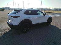 Usata Mazda CX-30 Homura-Line 122 CV (89 kW) 2024 SUV