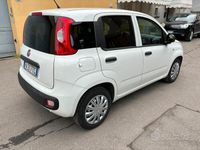 usata Fiat Panda van 1.2 gpl km 66000