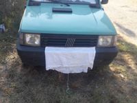 Usata Fiat Panda Young 54 CV (39 kW) 2002 Verde Utilitaria