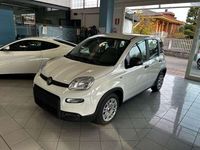 Usata Fiat Panda S 69 CV (50 kW) 2024 Bianco Utilitaria
