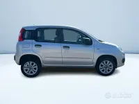 Usata Fiat Panda Lounge 70 CV (51 kW) 2020 Utilitaria