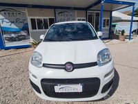 Usata Fiat Panda 4x4 S 95 CV (69 kW) 2018 Bianco Utilitaria