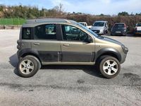 Usata Fiat Panda Cross Cross 69 CV (50 kW) 2007 Grigio Utilitaria