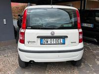 Usata Fiat Panda Dynamic 60 CV (44 kW) 2009 Bianco Utilitaria