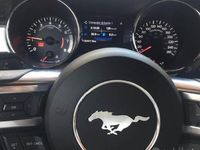 usata Ford Mustang Mustang Convertible 2.3 EcoBoost