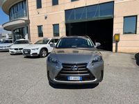 Usata Lexus NX300h Executive Line 155 CV (114 kW) 2016 Grigio SUV