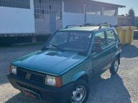 Usata Fiat Panda 4x4 Trekking 54 CV (39 kW) 2001 Verde Utilitaria