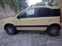 Usata Fiat Panda 4x4 60 CV (44 kW) 2005 Giallo Utilitaria
