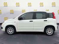 Usata Fiat Panda Easy 95 CV (69 kW) 2018 Bianco Berlina
