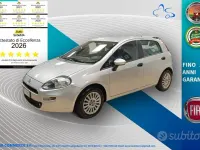Usata Fiat Punto Young 85 CV (62 kW) 2015 Grigio Utilitaria