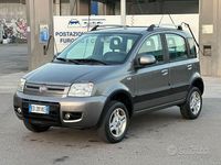 Usata Fiat Panda 4x4 Climbing 69 CV (50 kW) 2010 Grigio Utilitaria