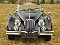Usata Jaguar XK S 254 CV (186 kW) 1959 Altri Cabrio