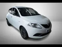 Usata Lancia Ypsilon Gold 69 CV (50 kW) 2016 Grigio chiaro Utilitaria