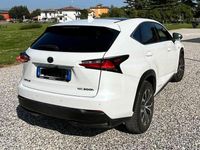 Usata Lexus NX300h Sport Line 155 CV (114 kW) 2015 Bianco SUV