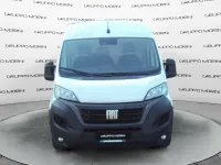 Usata Fiat Ducato 33 140 CV (102 kW) 2023 Bianco Furgone
